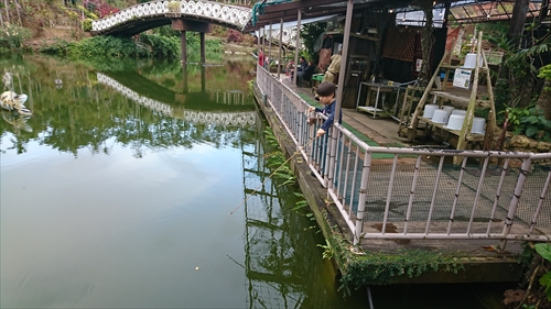 10日・東南植物楽園の光の散歩道！